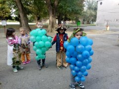 IMG_20171005_092329.jpg